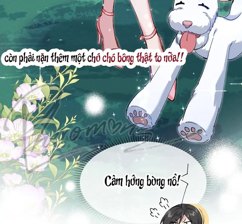 Run Run Rẩy Rẩy Chạy Khỏi Người Chapter 2 - 52