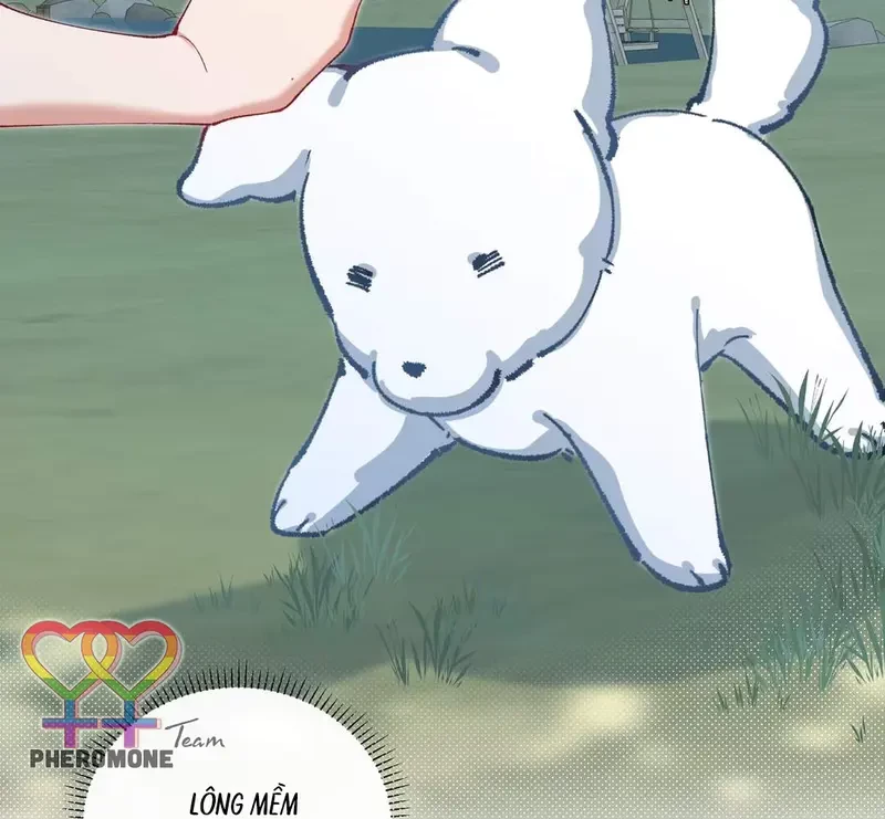 Run Run Rẩy Rẩy Chạy Khỏi Người Chapter 11 - 78