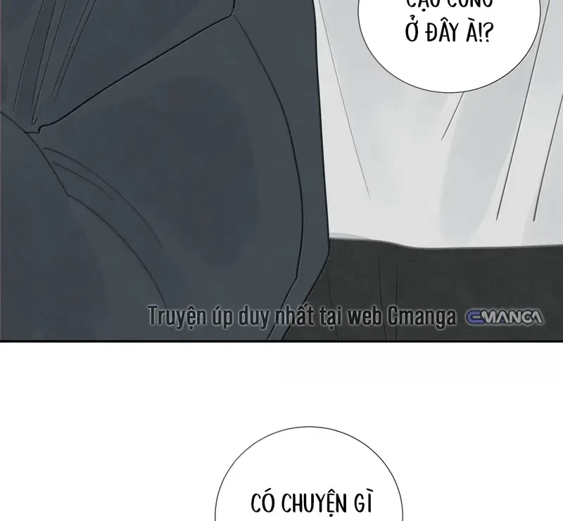 Tả Anh Tiểu Thư Chapter 30 - 21