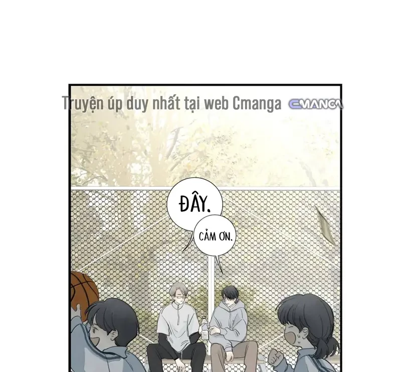 Tả Anh Tiểu Thư Chapter 30 - 31