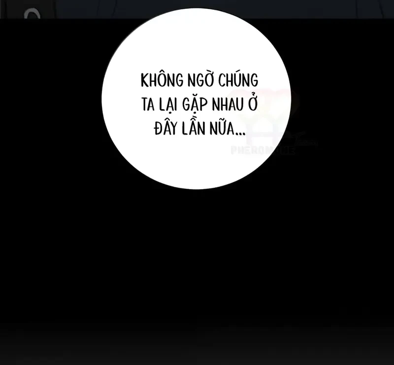 Tả Anh Tiểu Thư Chapter 30 - 54