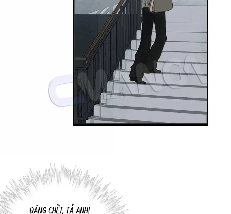 Tả Anh Tiểu Thư Chapter 30 - 80