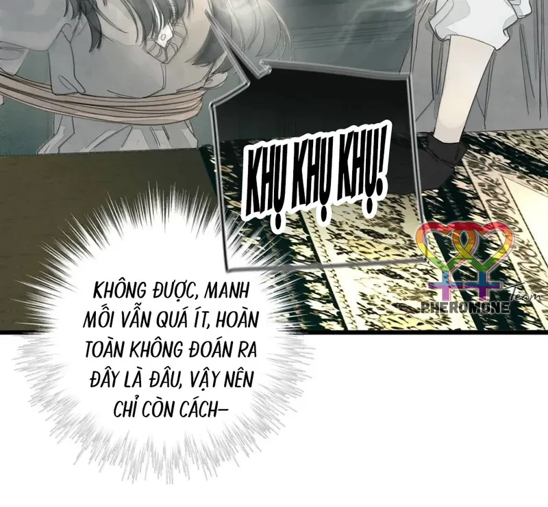 Tả Anh Tiểu Thư Chapter 31 - 50