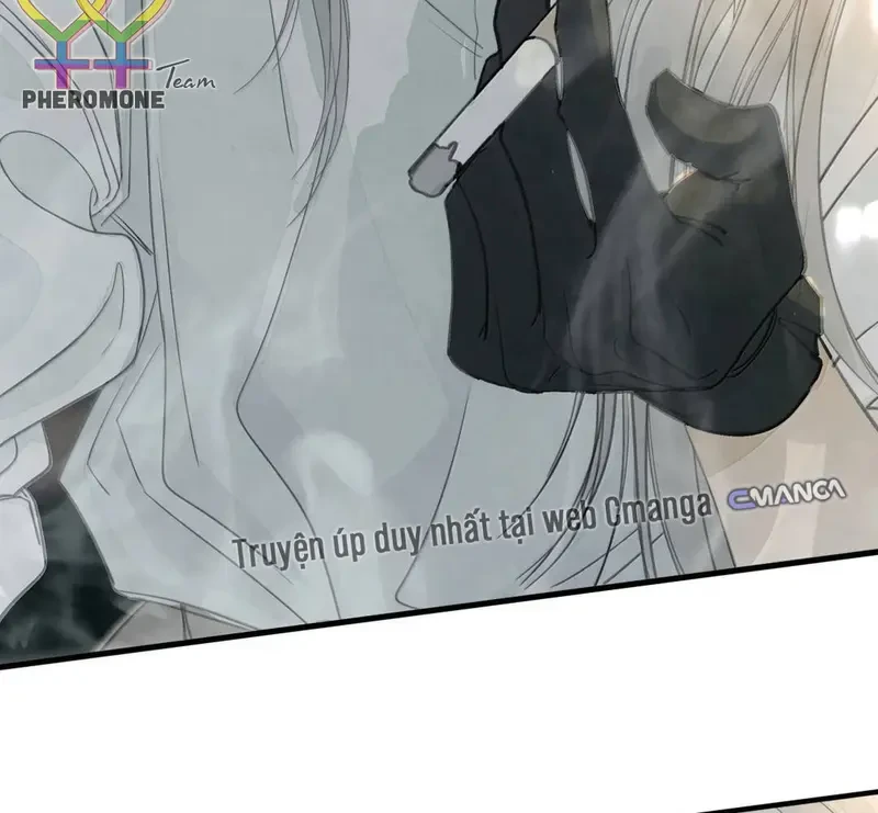 Tả Anh Tiểu Thư Chapter 31 - 55