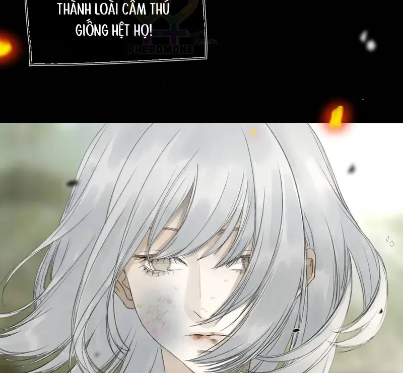 Tả Anh Tiểu Thư Chapter 31 - 102