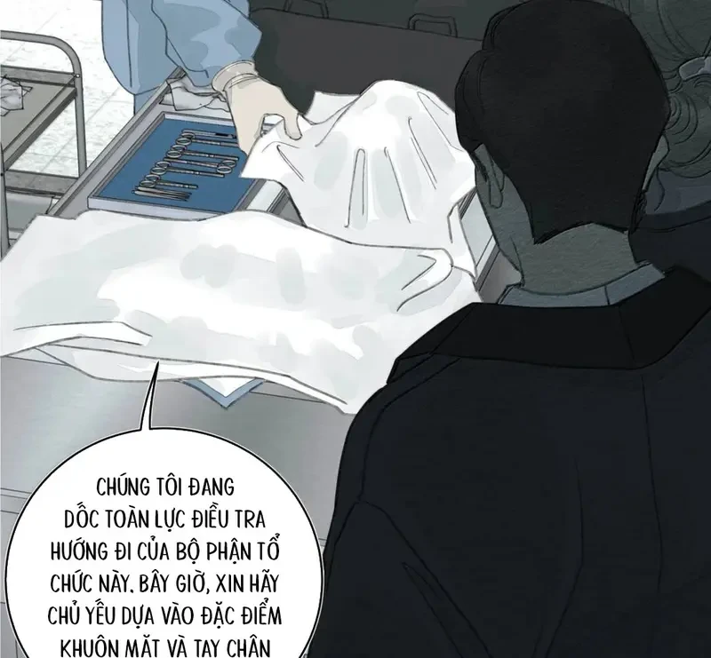 Tả Anh Tiểu Thư Chapter 32 - 80