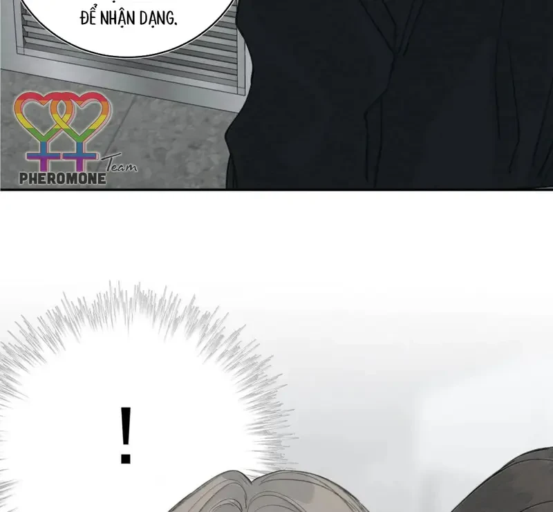 Tả Anh Tiểu Thư Chapter 32 - 81