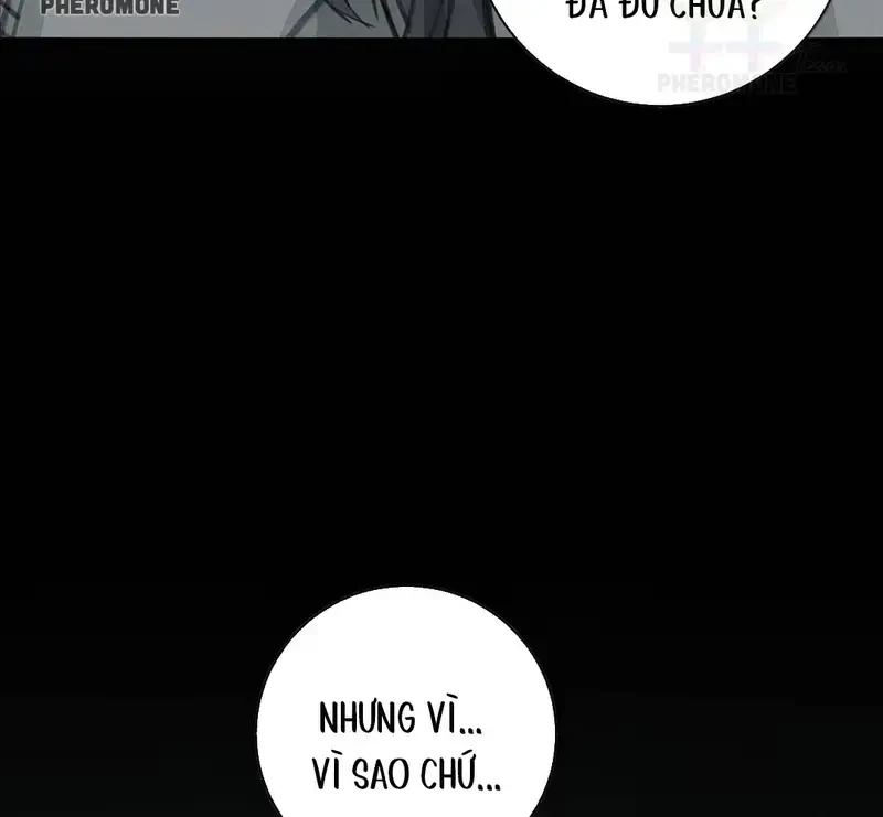 Tả Anh Tiểu Thư Chapter 34 - 33