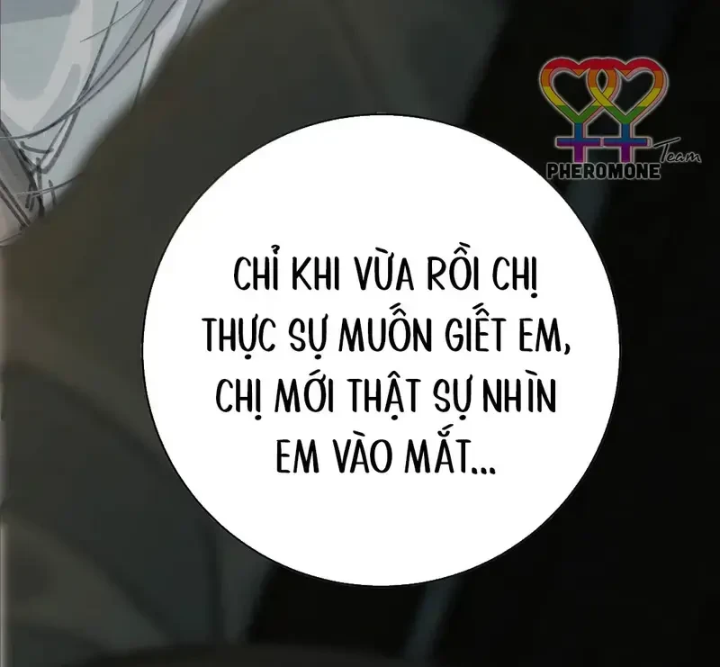 Tả Anh Tiểu Thư Chapter 34 - 40