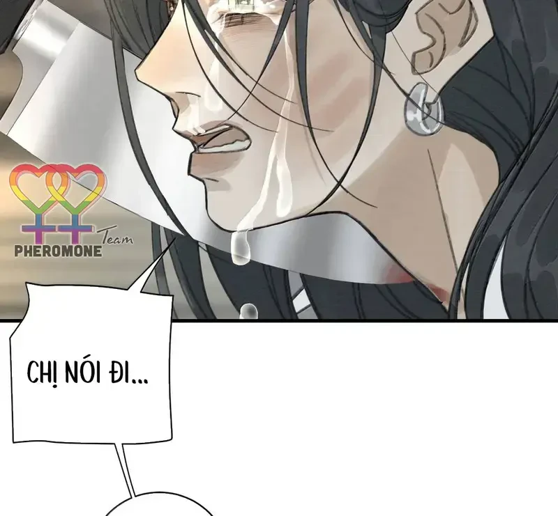 Tả Anh Tiểu Thư Chapter 34 - 56