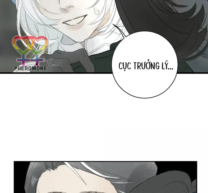 Tả Anh Tiểu Thư Chapter 35 - 37