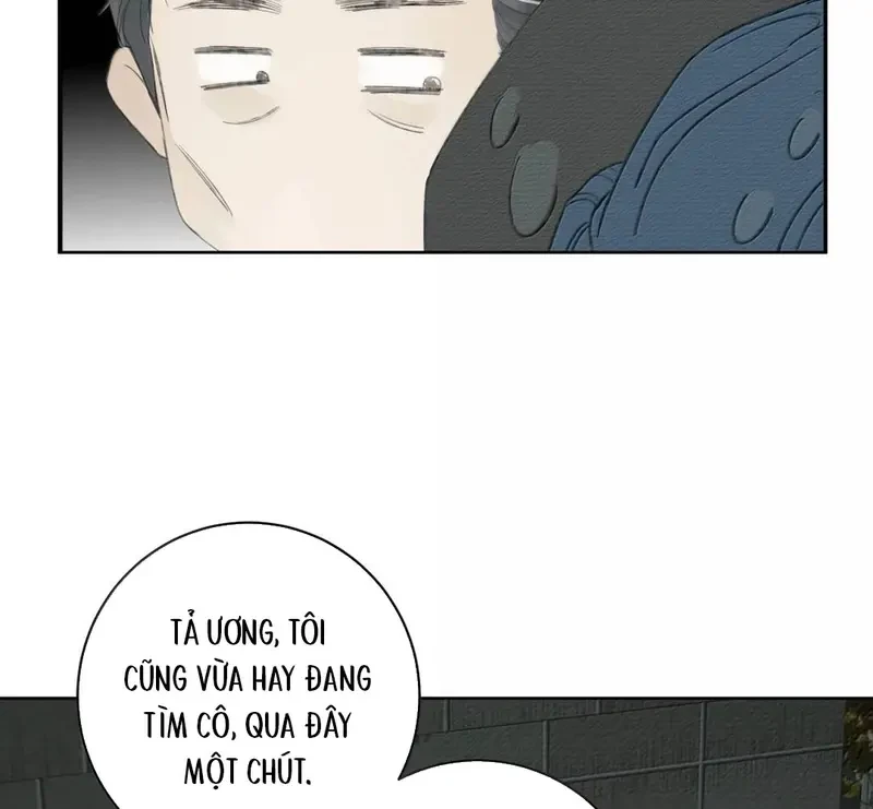 Tả Anh Tiểu Thư Chapter 35 - 38