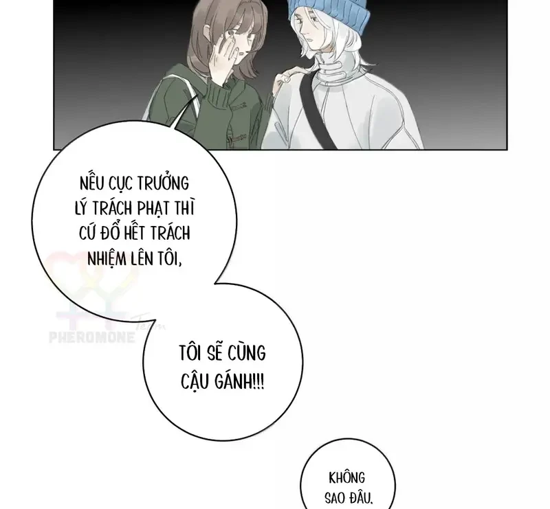 Tả Anh Tiểu Thư Chapter 35 - 41