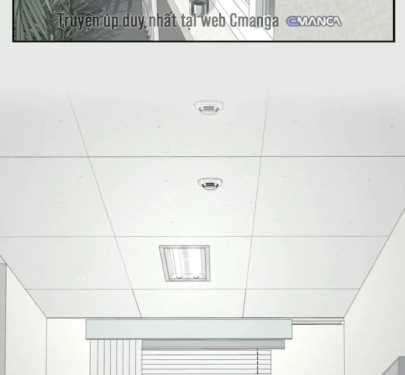 Tả Anh Tiểu Thư Chapter 35 - 43