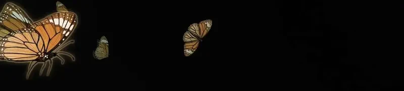 Tả Anh Tiểu Thư Chapter 1 - 6