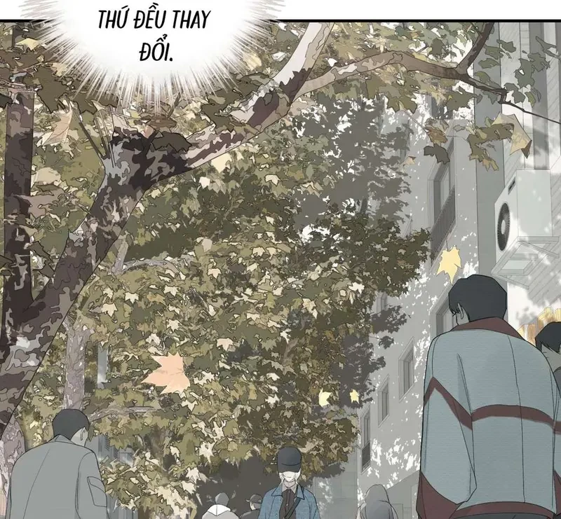 Tả Anh Tiểu Thư Chapter 1 - 54