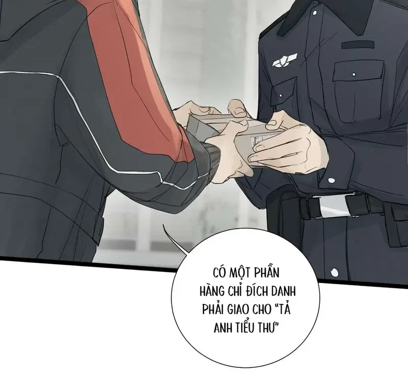 Tả Anh Tiểu Thư Chapter 2 - 50