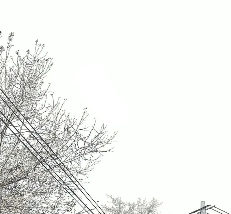 Tả Anh Tiểu Thư Chapter 3 - 62