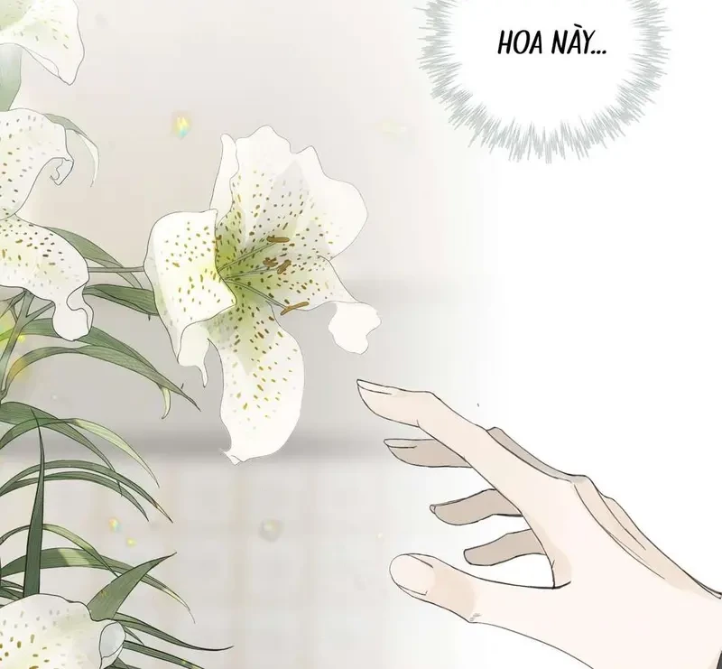 Tả Anh Tiểu Thư Chapter 4 - 69