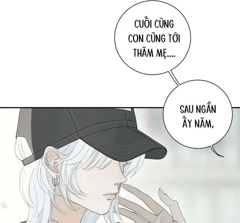 Tả Anh Tiểu Thư Chapter 5 - 3