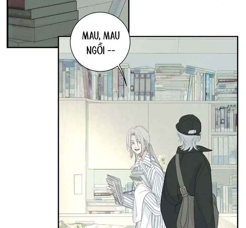 Tả Anh Tiểu Thư Chapter 5 - 10