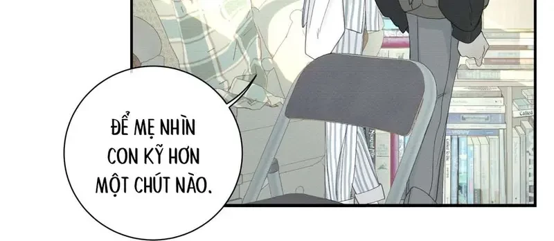 Tả Anh Tiểu Thư Chapter 5 - 11