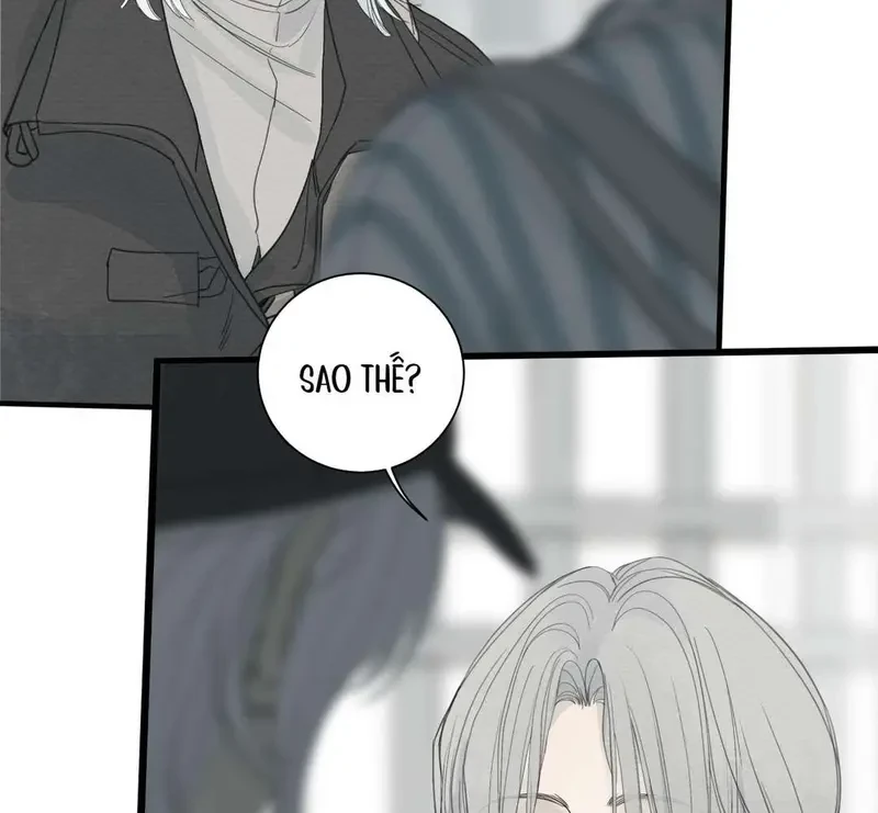 Tả Anh Tiểu Thư Chapter 7 - 4