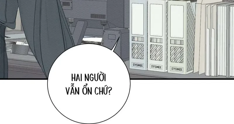 Tả Anh Tiểu Thư Chapter 9 - 13