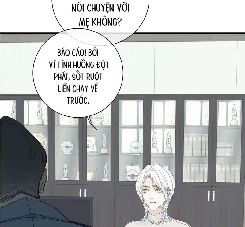 Tả Anh Tiểu Thư Chapter 9 - 19