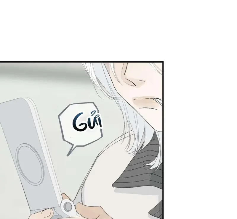 Tả Anh Tiểu Thư Chapter 10 - 15