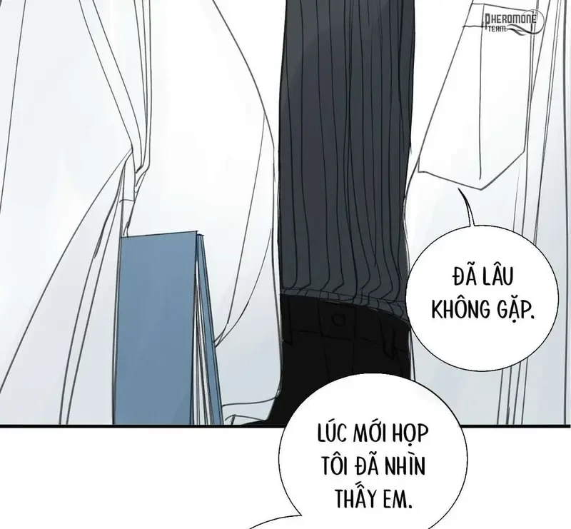 Tả Anh Tiểu Thư Chapter 10 - 80