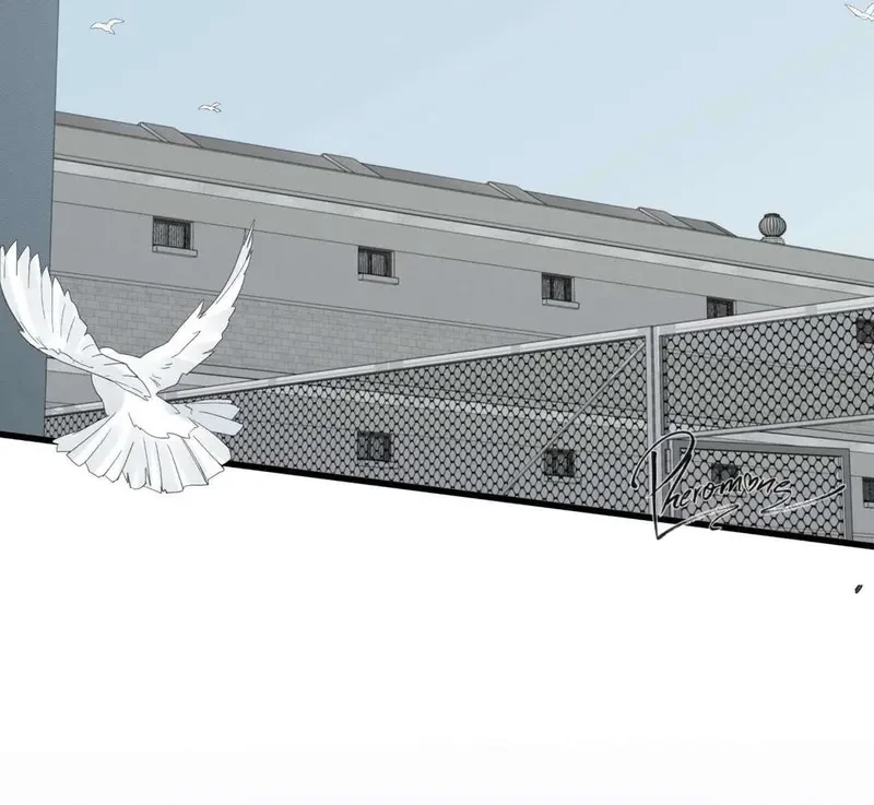 Tả Anh Tiểu Thư Chapter 11 - 29