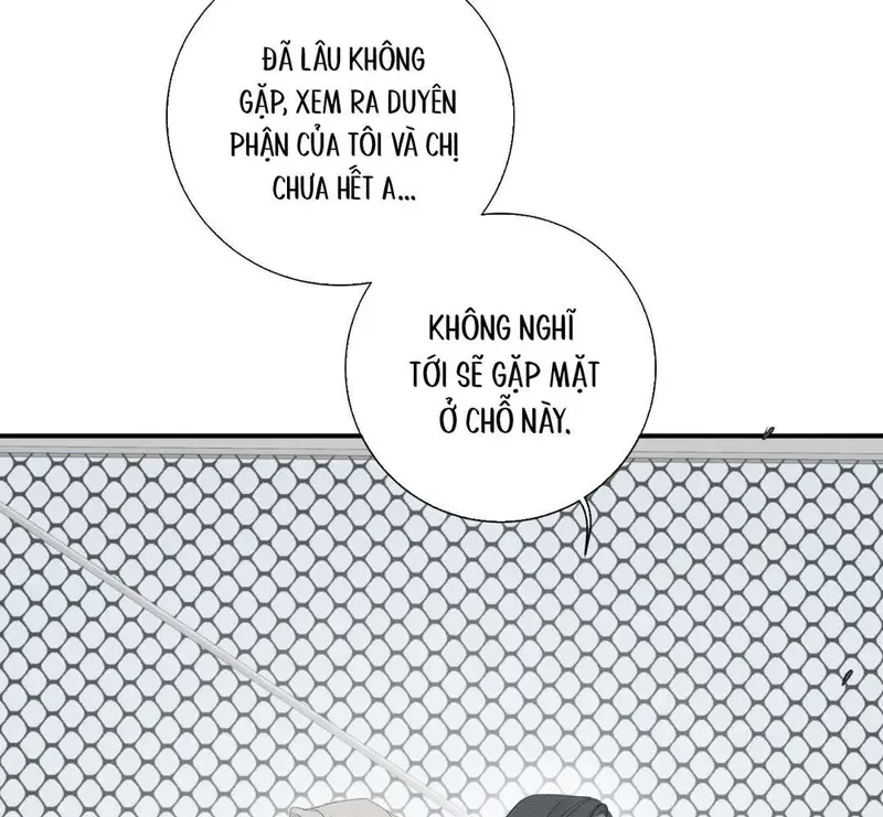 Tả Anh Tiểu Thư Chapter 11 - 35