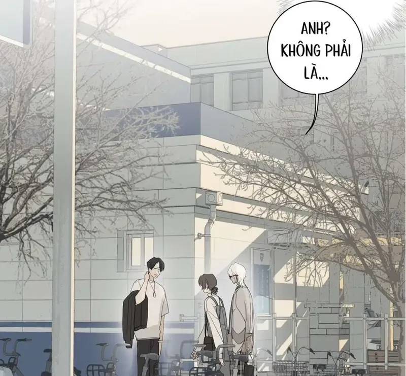 Tả Anh Tiểu Thư Chapter 13 - 41