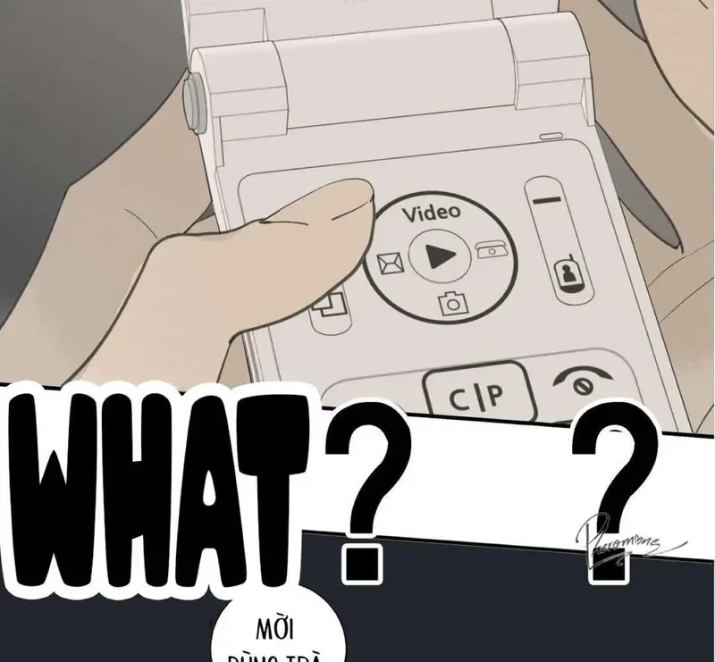 Tả Anh Tiểu Thư Chapter 13 - 49