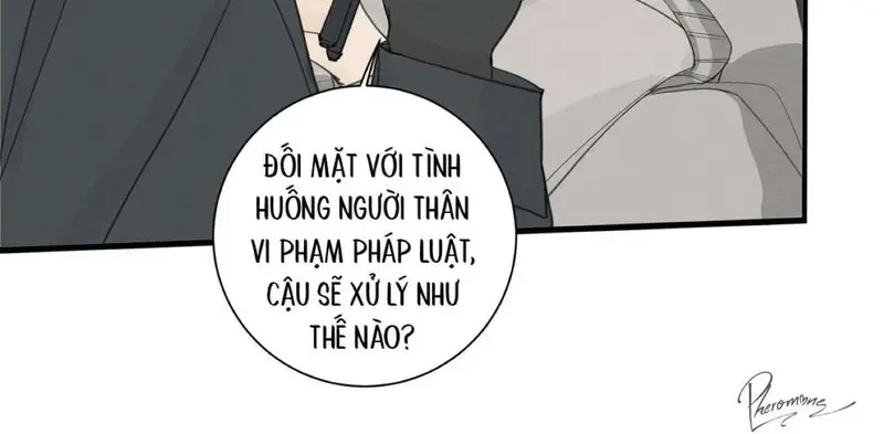 Tả Anh Tiểu Thư Chapter 14 - 36