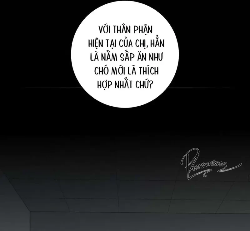 Tả Anh Tiểu Thư Chapter 14 - 50