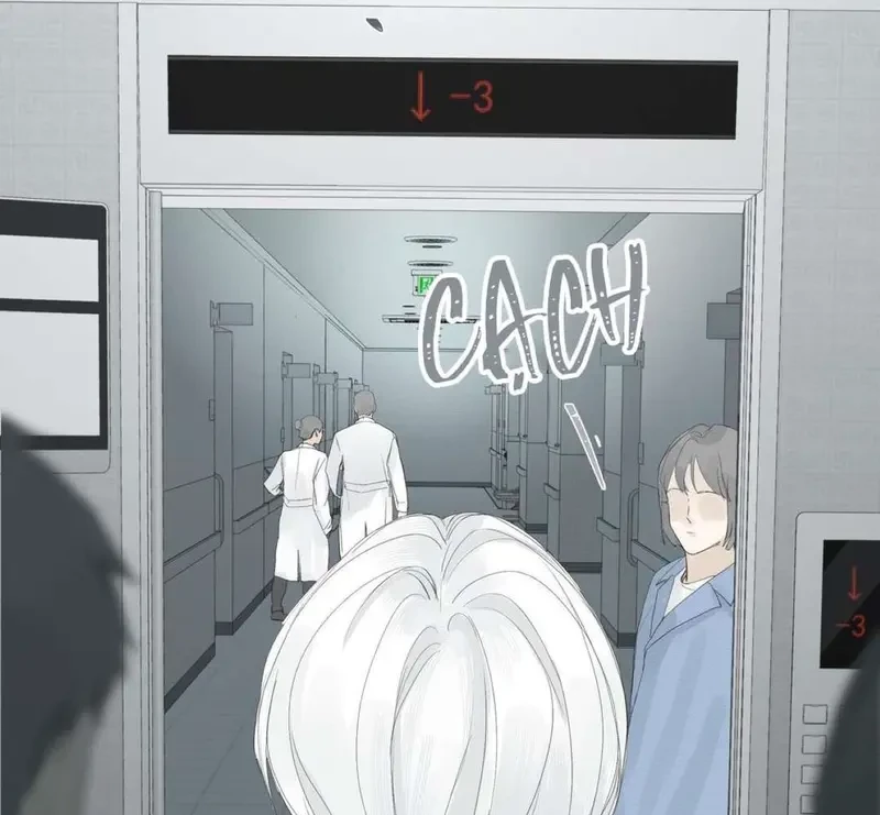 Tả Anh Tiểu Thư Chapter 15 - 17