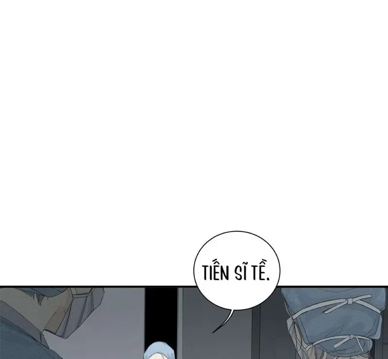 Tả Anh Tiểu Thư Chapter 15 - 62