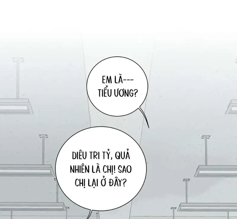 Tả Anh Tiểu Thư Chapter 16 - 61