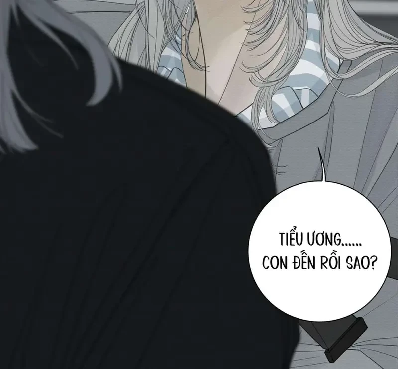 Tả Anh Tiểu Thư Chapter 17 - 12