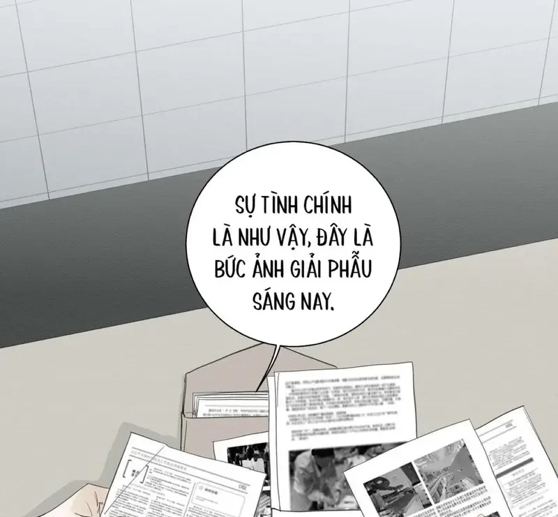 Tả Anh Tiểu Thư Chapter 17 - 71