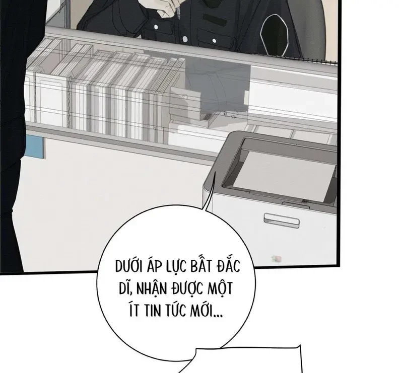 Tả Anh Tiểu Thư Chapter 18 - 62