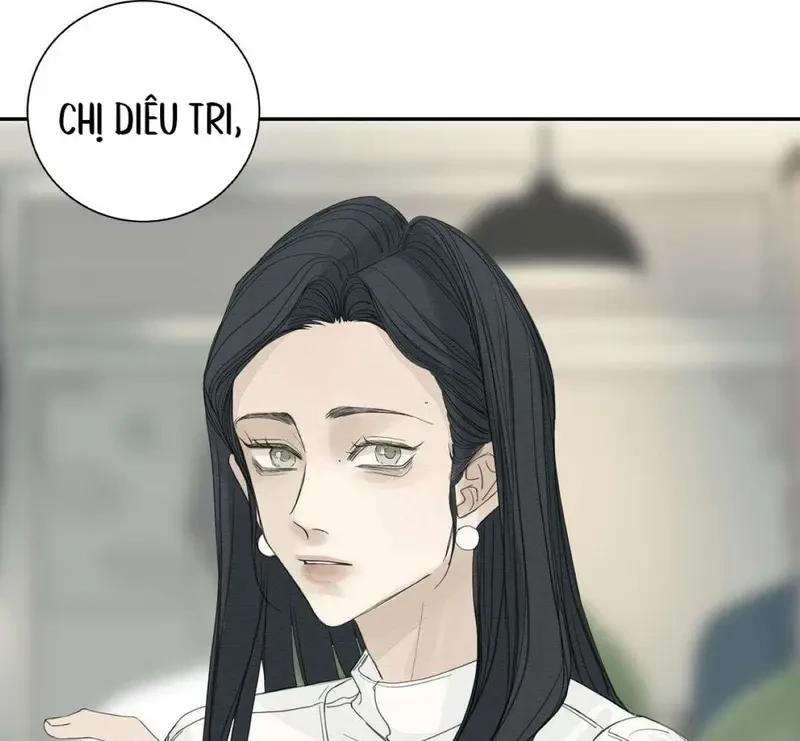 Tả Anh Tiểu Thư Chapter 19 - 22