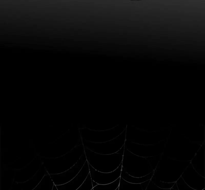 Tả Anh Tiểu Thư Chapter 20 - 22