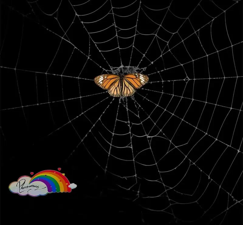 Tả Anh Tiểu Thư Chapter 20 - 23