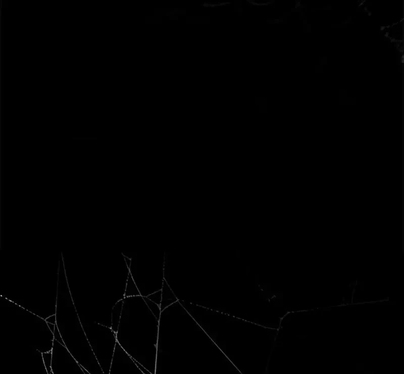 Tả Anh Tiểu Thư Chapter 20 - 24