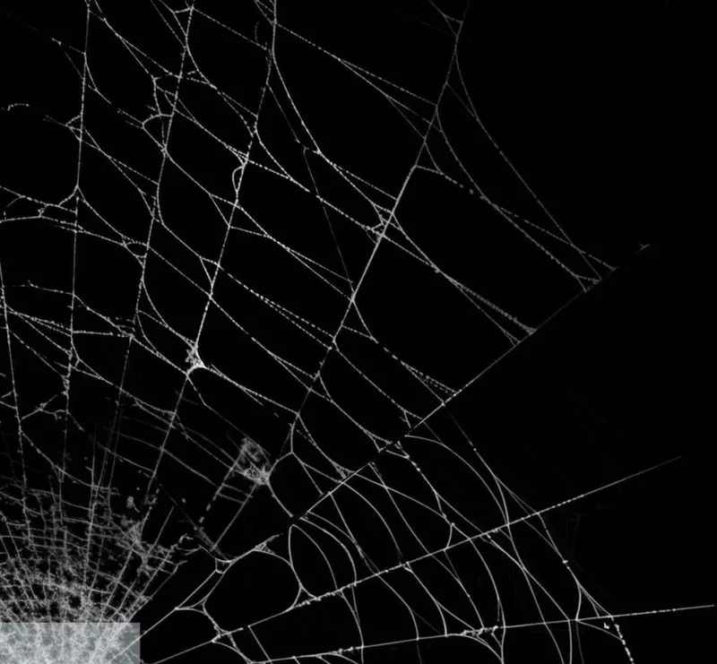 Tả Anh Tiểu Thư Chapter 20 - 25