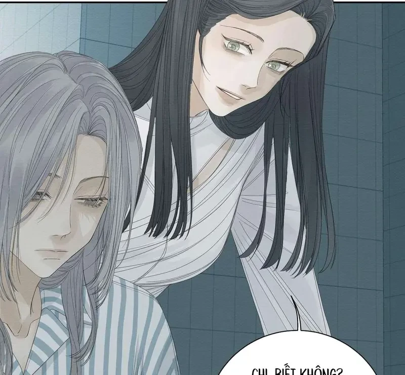 Tả Anh Tiểu Thư Chapter 20 - 40