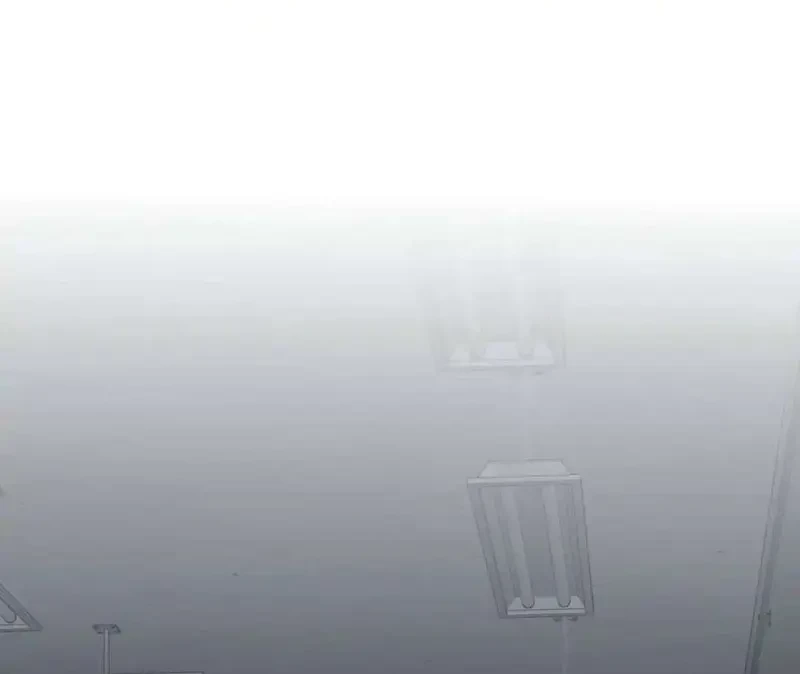 Tả Anh Tiểu Thư Chapter 21 - 37